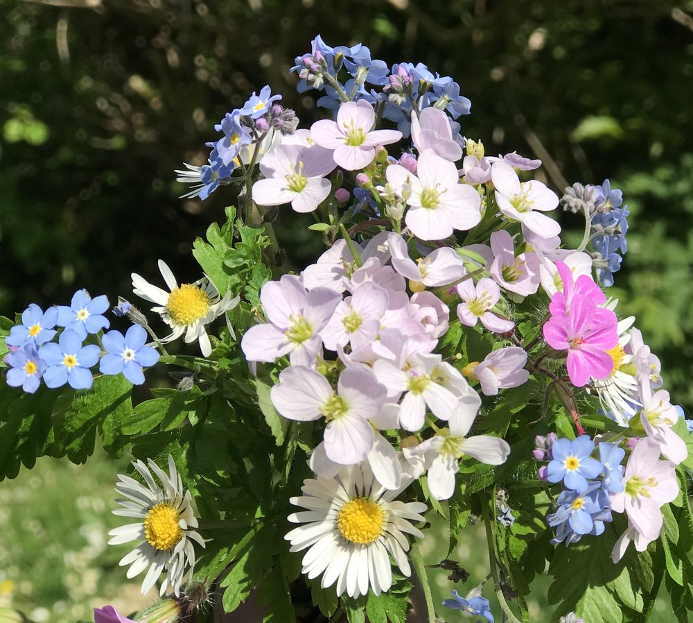 The Healing Garden