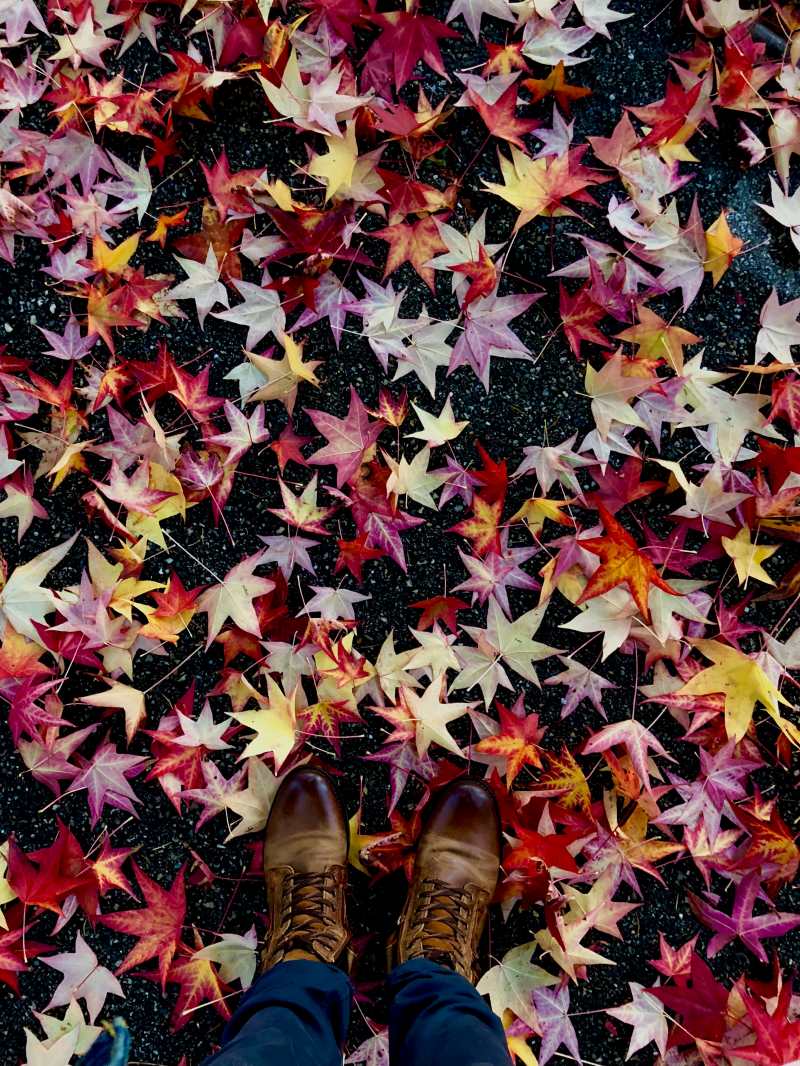 autumn 23 leaves boots