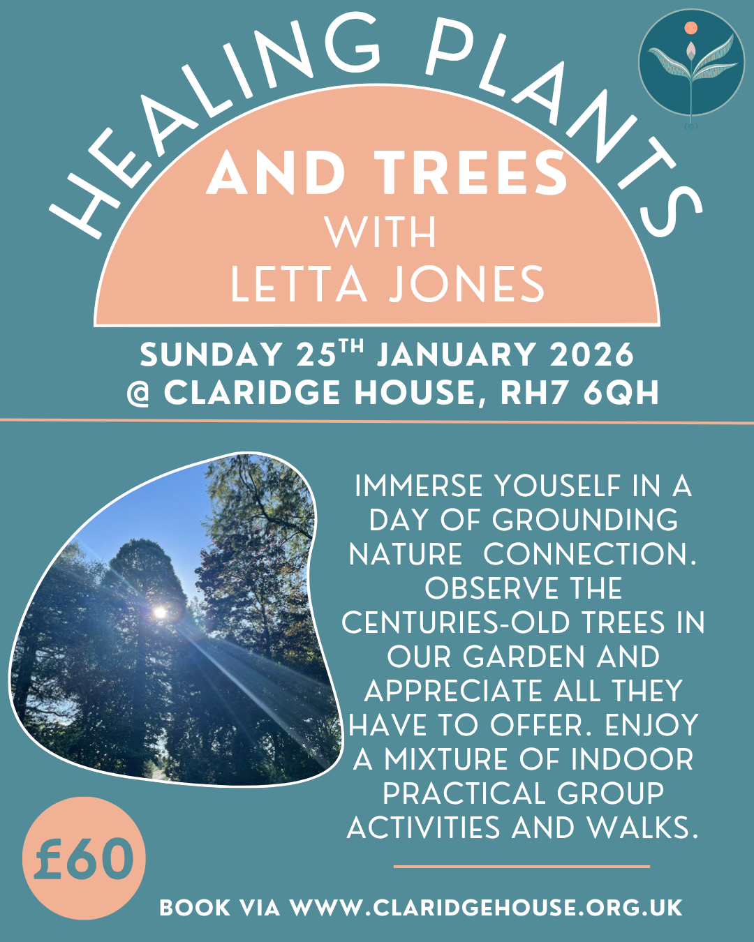 Letta Jones Winter Trees
