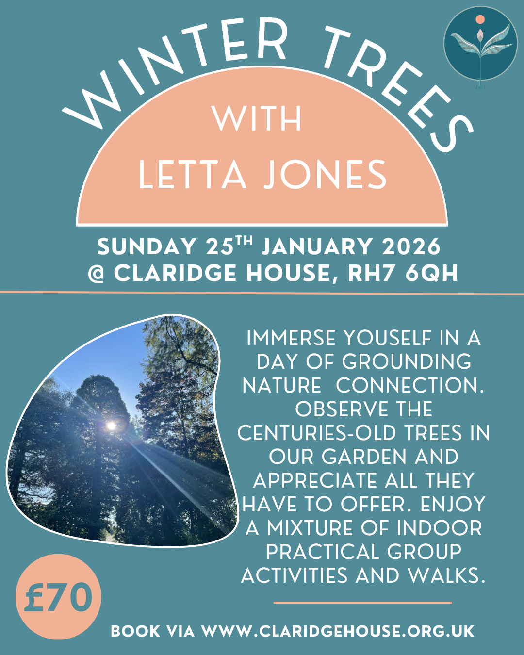 Letta Jones - Winter Trees updated (1)