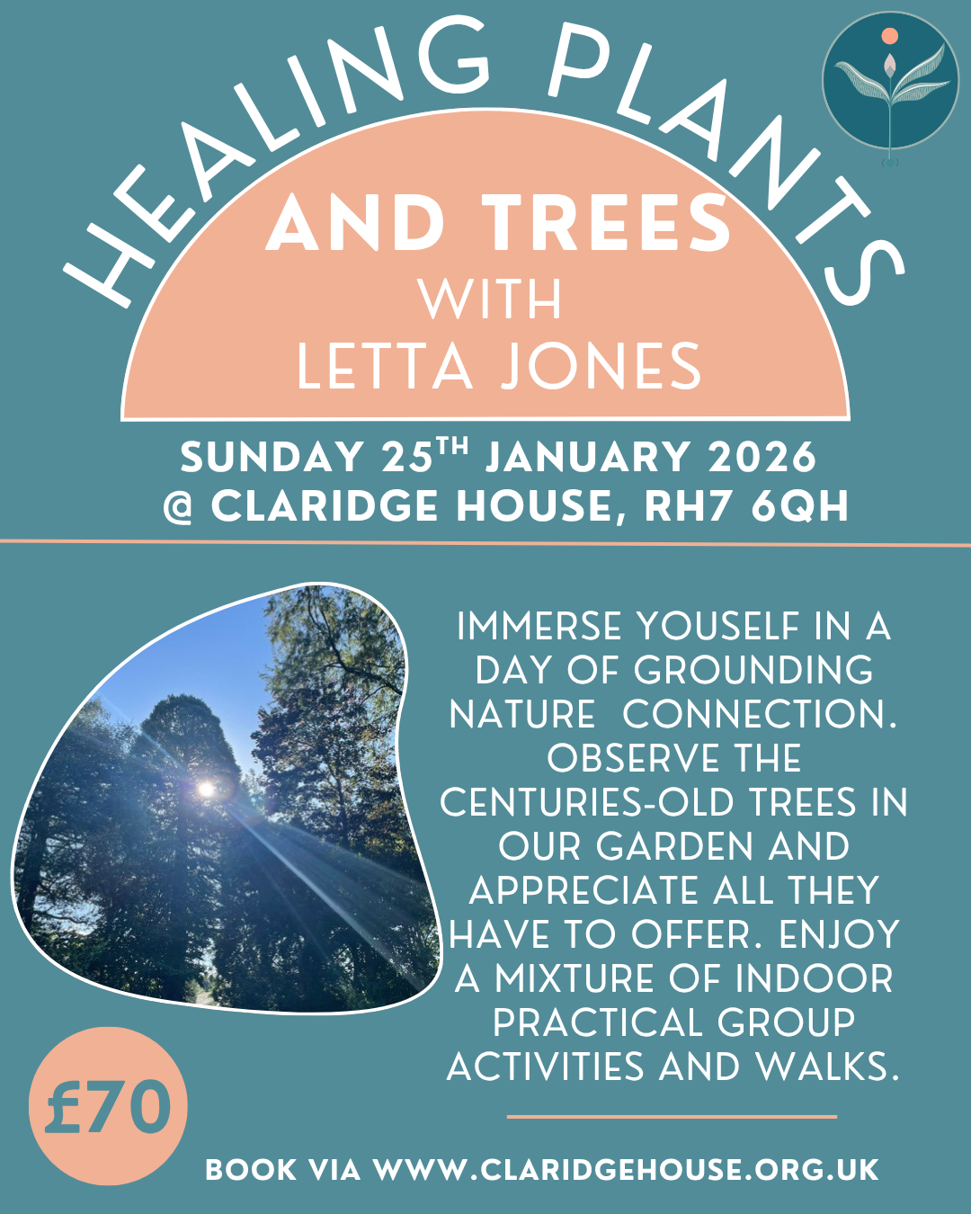 Winter Trees with Letta Jones