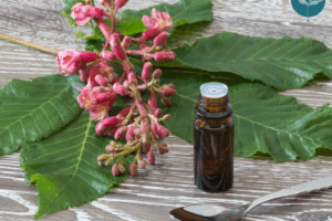 Bach Flower Remedies