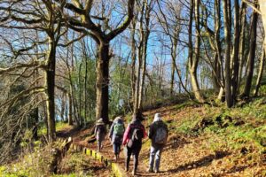 Spring Awakening with Tansy