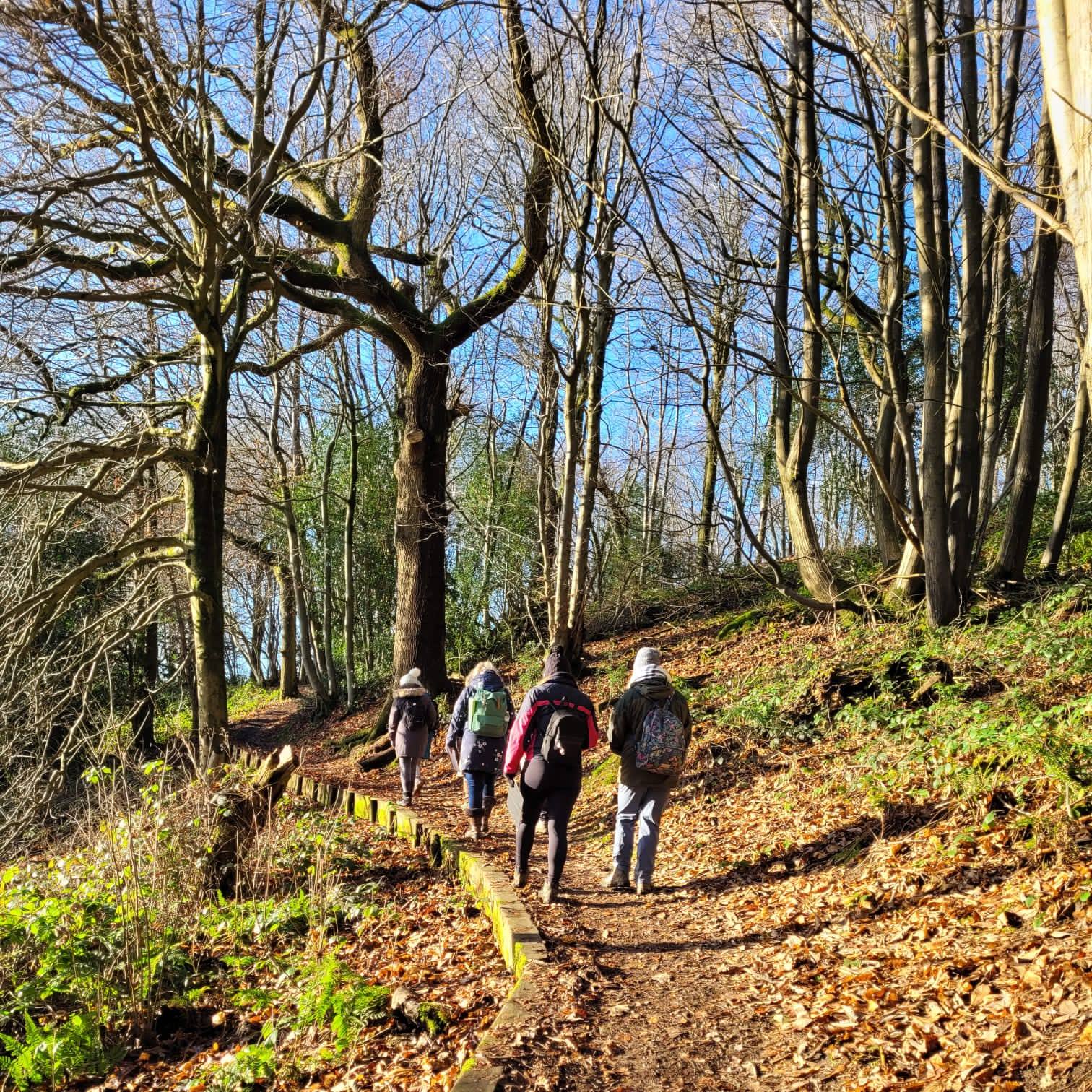 Spring Awakening with Tansy