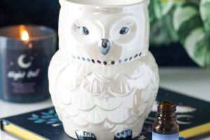Owl Shaped Iridescent Oil Burner and Wax Warmer