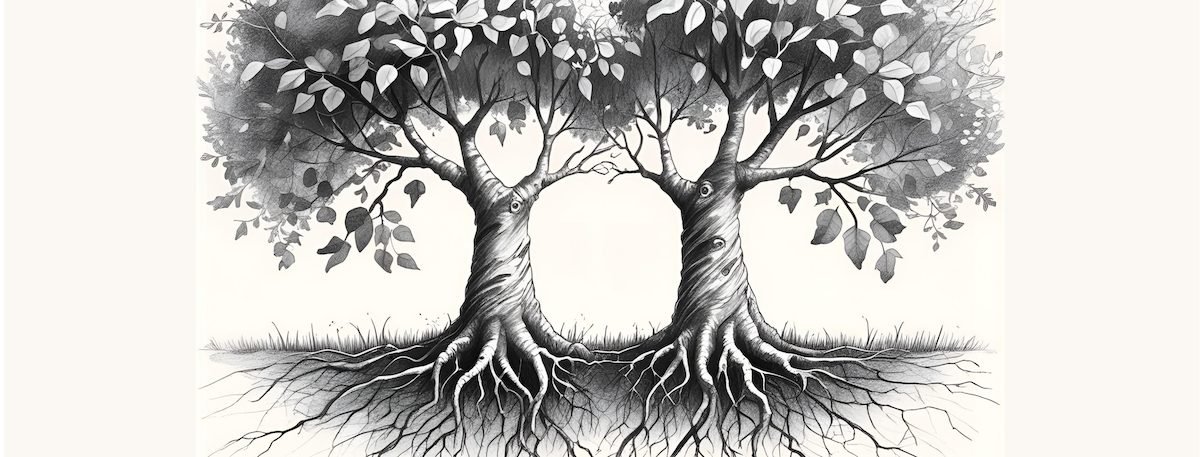 Turning Conflict into Connection and Clarity