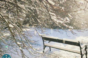 Mindfulness Meditation with Lina