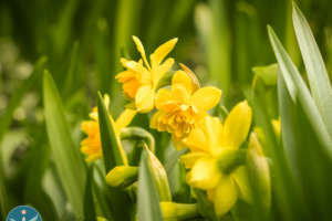 March Mindfulness Morning with Lina