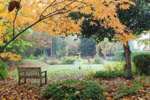 November Mindfulness Meditation with Lina