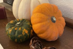 October Mindfulness Morning