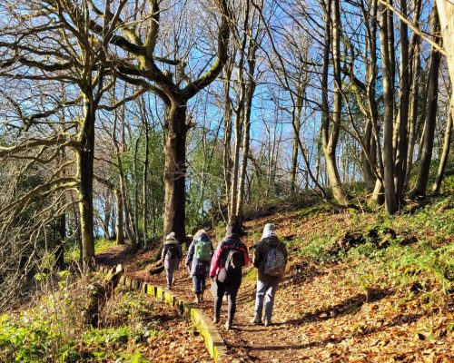 Spring Awakening with Tansy