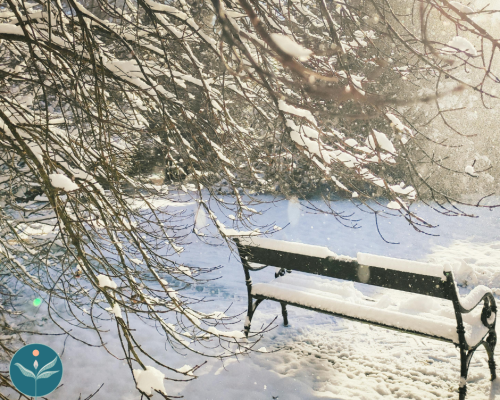 Mindfulness Meditation with Lina