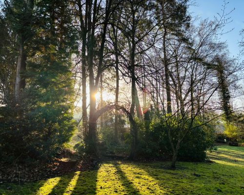 An Evening of Connection and Wonder