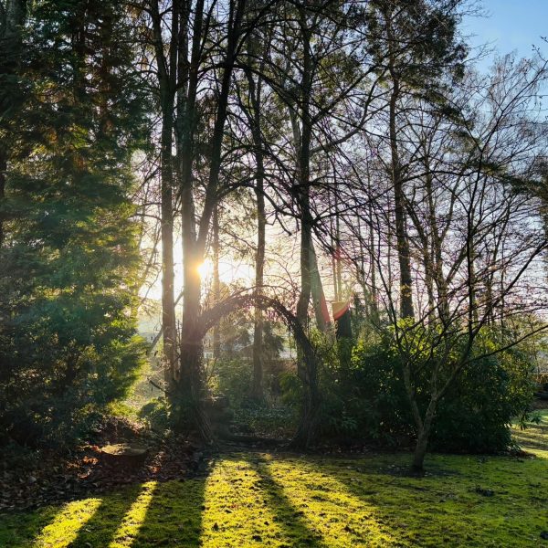 An Evening of Connection and Wonder