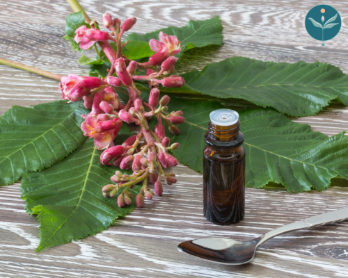 Bach Flower Remedies