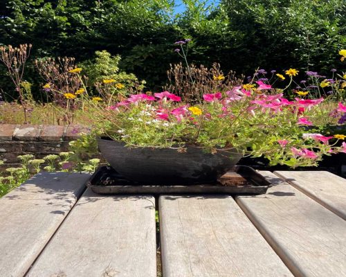 Mads In De Garden 22 2