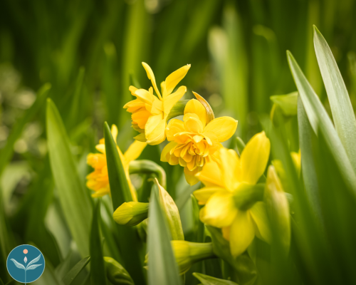 March Mindfulness Morning with Lina