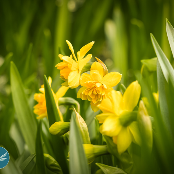 March Mindfulness Morning with Lina