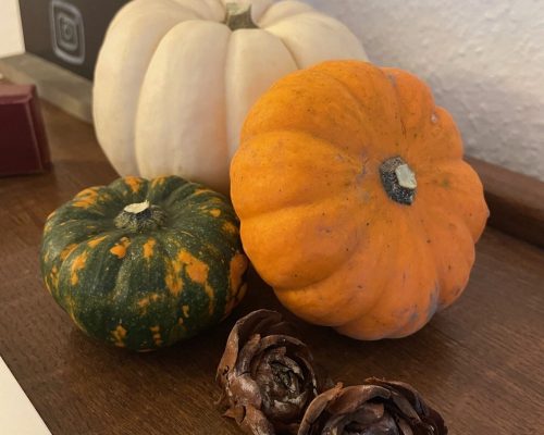 October Mindfulness Morning