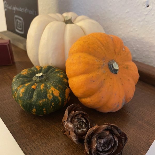 October Mindfulness Morning